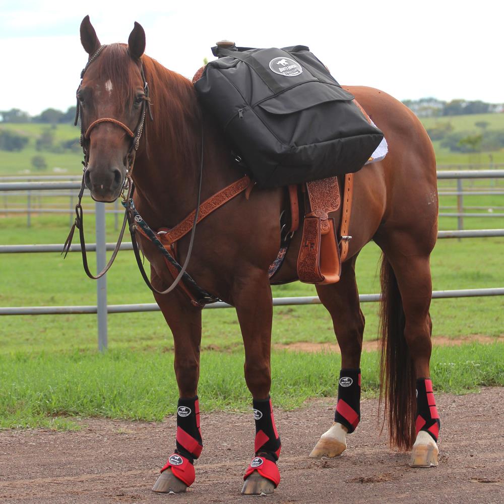 saddle and bridle bolsa